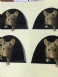 Cztery