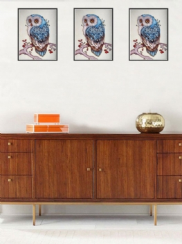 Diy Sowa Pełna 5d Diament Malarstwo Wall Art Wiszące Prezent Home Decor