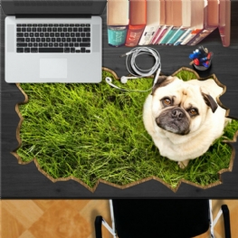 Dog Pet Trawnik Pag Naklejka 3d Na Biurko Naklejki Ścienne Strona Główna Dekoracja Stołu Prezent