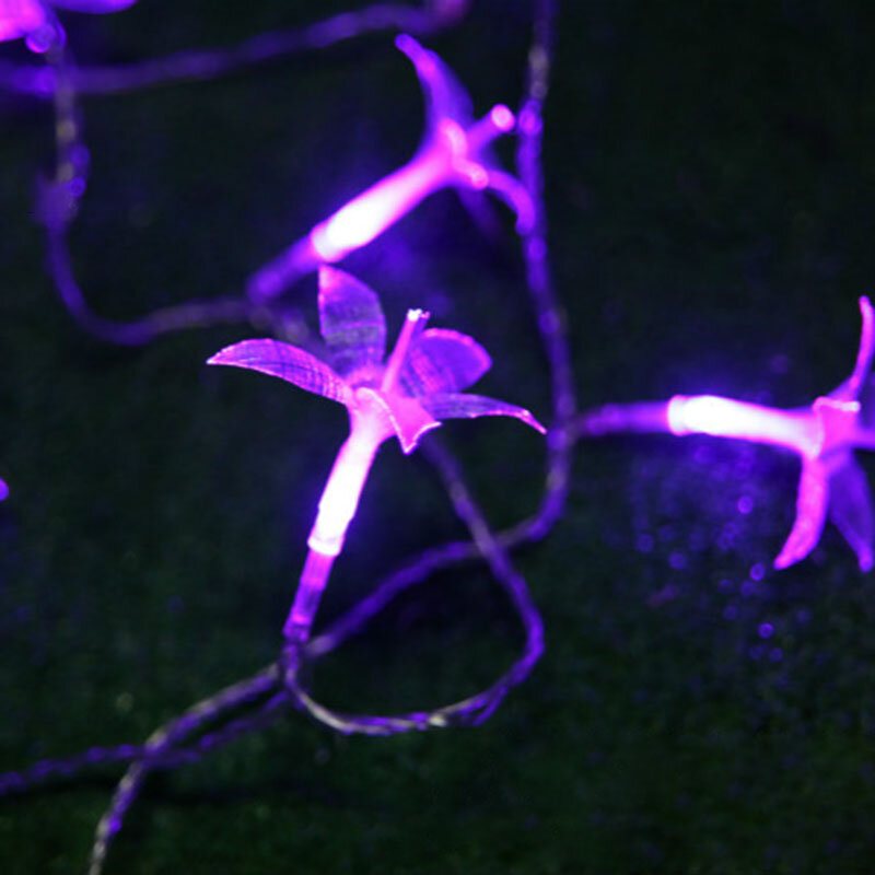 Kcasa Csl-1 10m 38led Stopniowanie Led Strig Light Autochromic Kolorowe Lily Wedding Patio Decoration