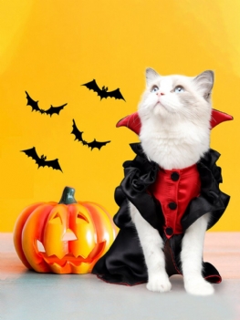 Halloweenowe Zwierzę Wampir Przekształca Się W Symulację Kota Parodia Ubrania Świąteczne Śmieszne Dla