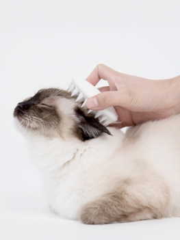 Petkit Pet Cat Grooming Urządzenie Do Masażu Szczotka Z Grzebienia Silicon Z Miękką Gumą