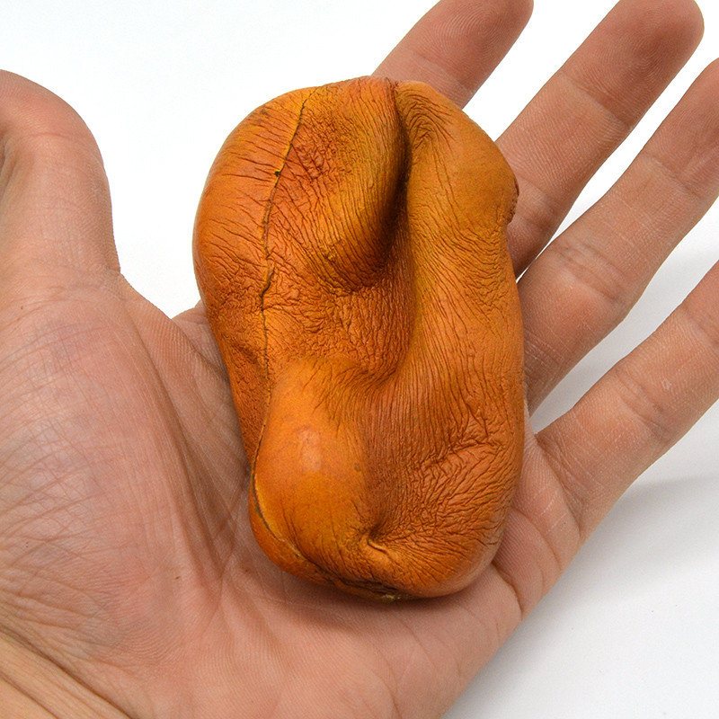 Kiibru Squishy Kiwi Fruit 8.5cm Miękkie Powolne Rośnie Oryginalne Opakowanie Kolekcja Gift Decor Toy