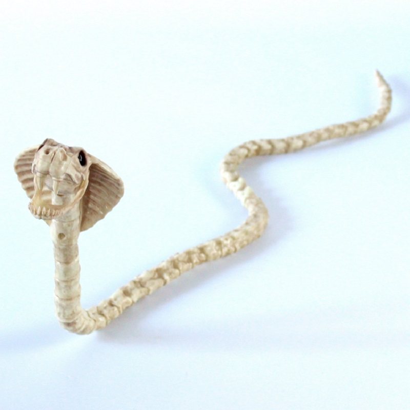 Szkielet Cobra Snake Bone Haunted House Decoration Zginalny Korpus