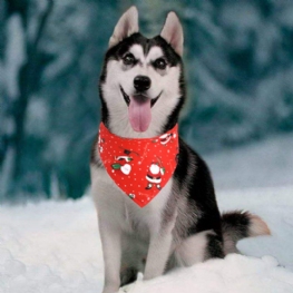 Christmas Pet Śliniaczek Bawełniany Trójkątny Szalik Dla Kota Biżuteria Na Szelkach Dla