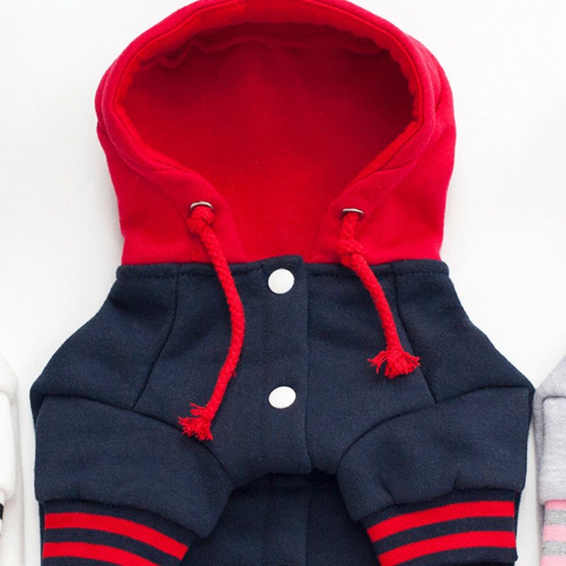 Bluzy Dla Psów Sweter Bawełniany Dopasowany Kolor Puppy Sportowe Teddy Odzież