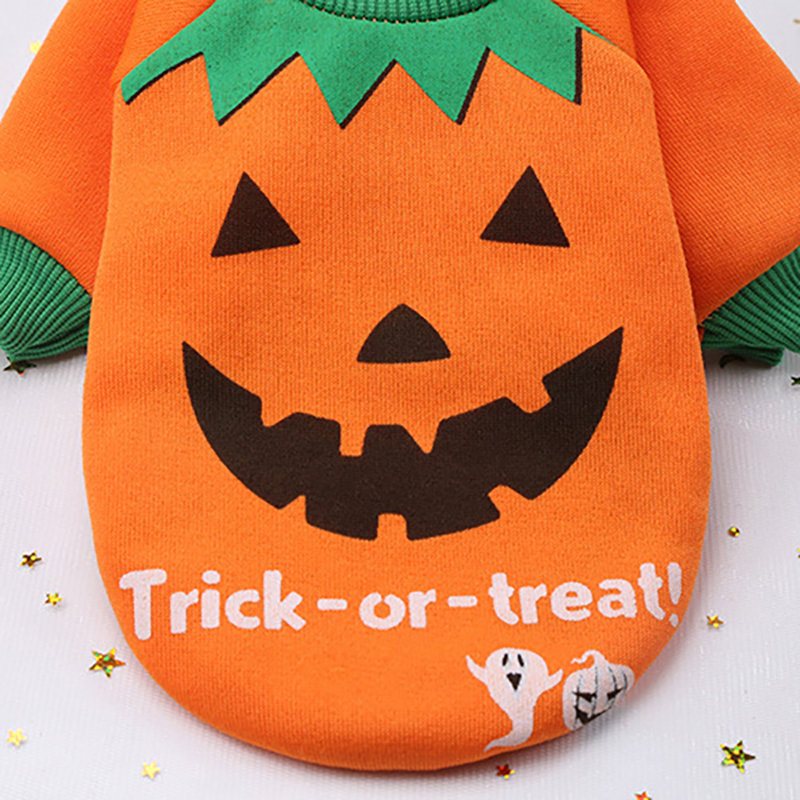 Halloween Pet Dog Dynia Kostium Czarownicy Szczeniak Śmieszne Odzież Festiwalowa