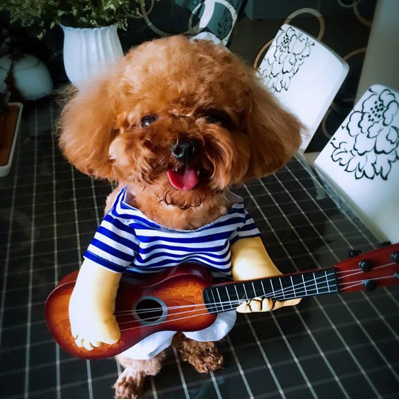 Małe Duże Kostiumy Dla Psów Gitarzysta Płaszcze Ubrania Party Cosplay