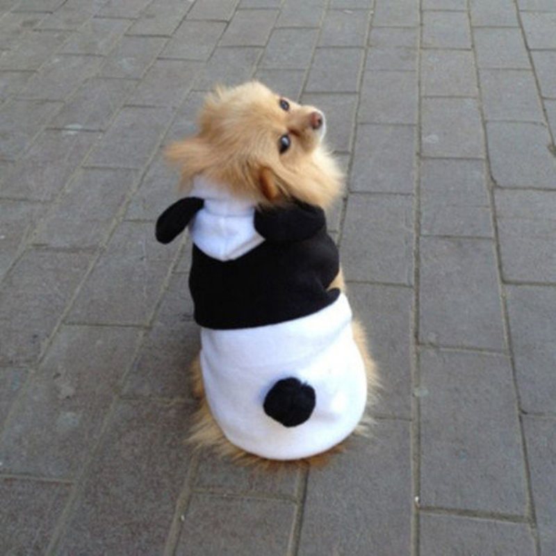 Pet Dog Cat Śliczny Polar Panda Ubrania Ciepły Płaszcz Kostium Odzież Wierzchnia Xs-xxl