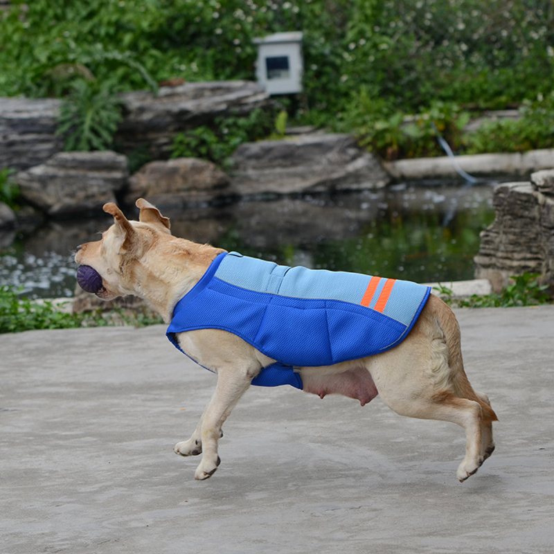 Pet Dog Cool Vest Oddychająca Wygodna Odzież Chłodząca Z Filtrem Przeciwsłonecznym Kurtka Dla Zwierząt Domowych