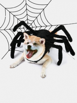 Pet Halloween Zabawny Pająk Klatka Piersiowa Powrót Kreatywny Kot Pies Mały Kostium Transformacji