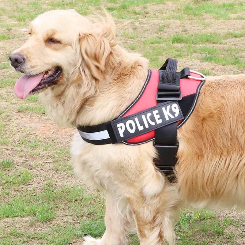 Średni Duży Pies Przeciwwybuchowy K9 Chest Back Oxford Cloth Dog Traction Produkty Dla Zwierząt Domowych